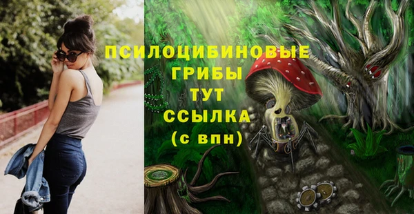 ALPHA PVP Аркадак