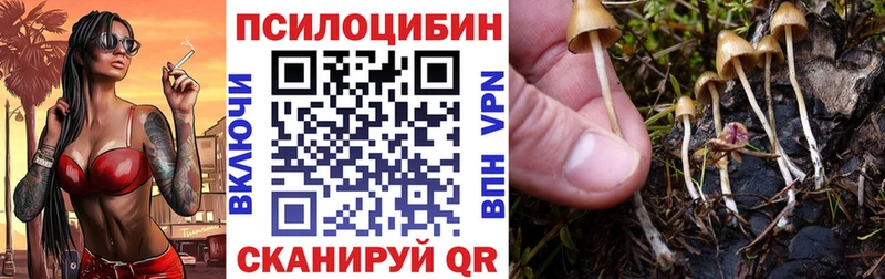 дарнет шоп  Валуйки  Галлюциногенные грибы GOLDEN TEACHER 